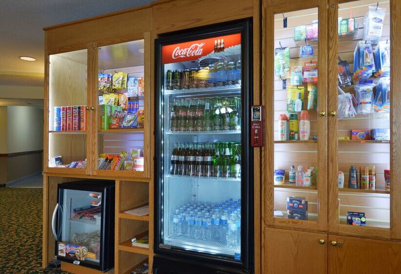 酒店 Canadas Best Value Inn Valemount