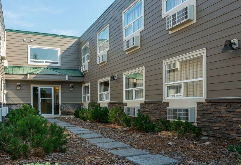 酒店 Canadas Best Value Inn Valemount