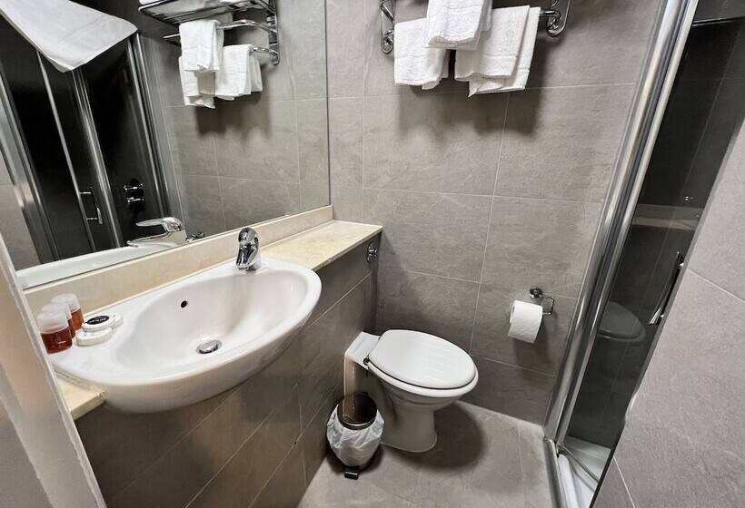 Fotos del hotel Hotel Cavendish:  14