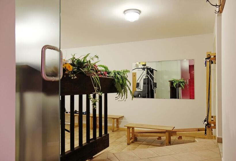 هتل Dolomites Inn