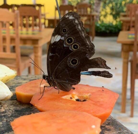 בית מלון כפרי Pousada Aroeira