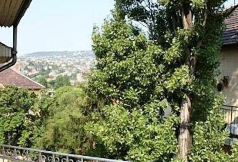 Fotos del hotel Kristal:  18