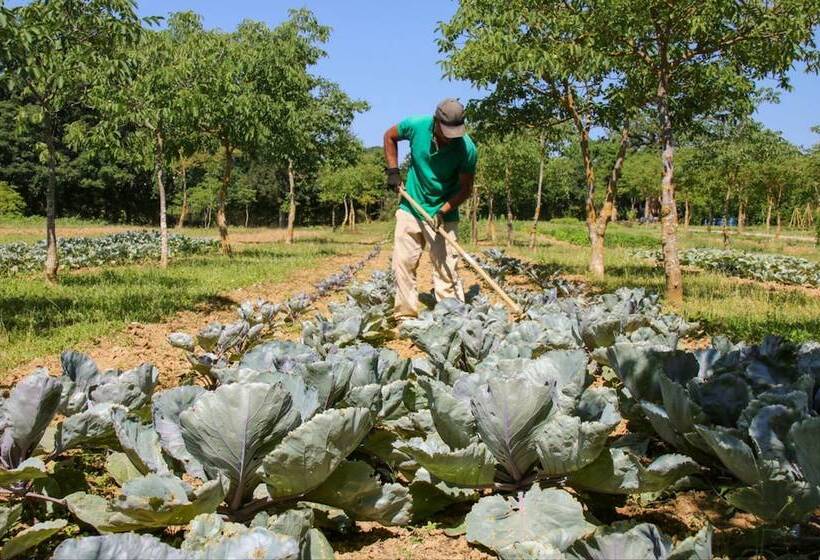 בית מלון כפרי Borgo Santo Pietro