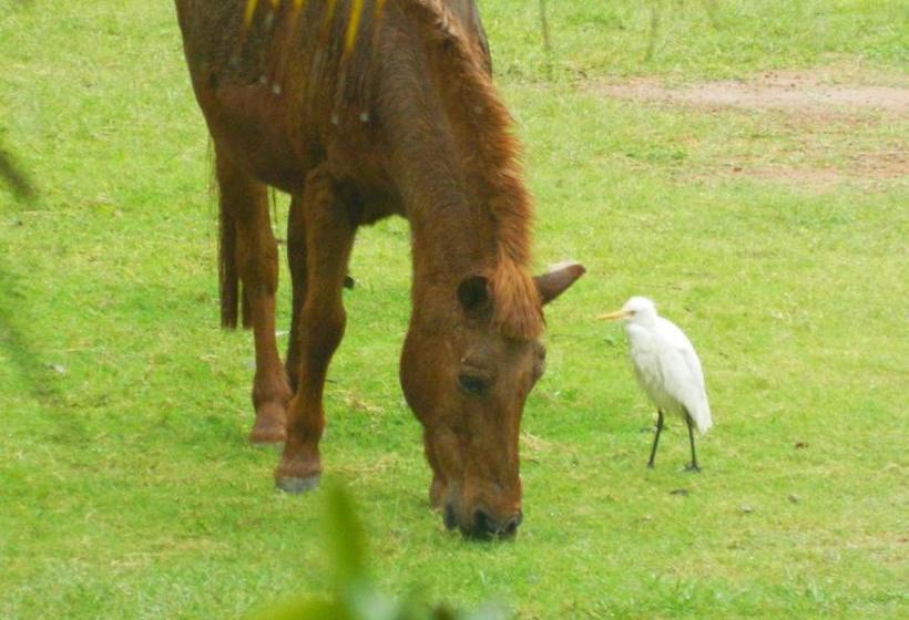 酒店 Fantasy Golf Resort