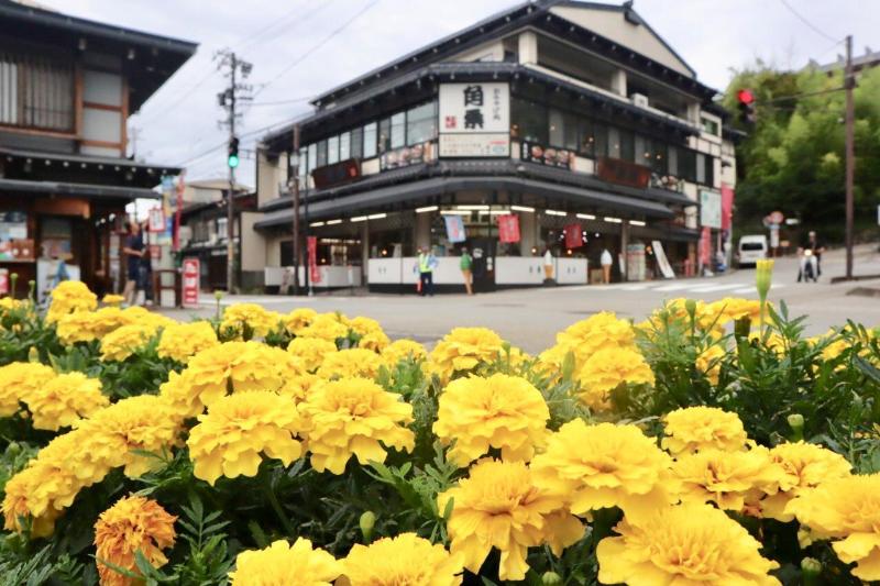 Fotos del hotel Jas  Takayama:  20