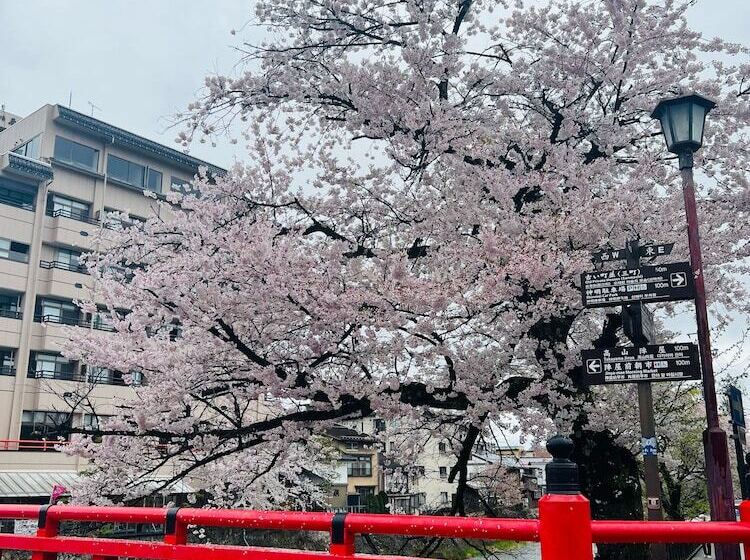 Fotos del hotel Jas  Takayama:  19