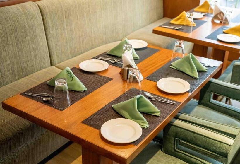 فندق The Fern Surya Resort Kasauli Hills, Dharampur