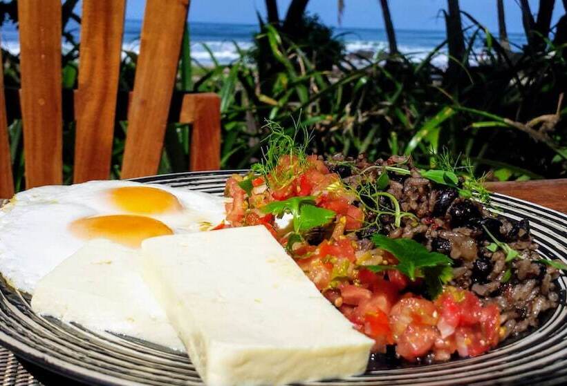 استراحتگاه Tropico Latino