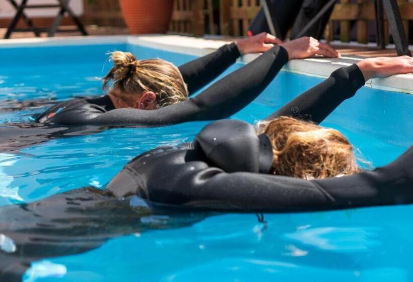 هاستل Ahoy Surf House