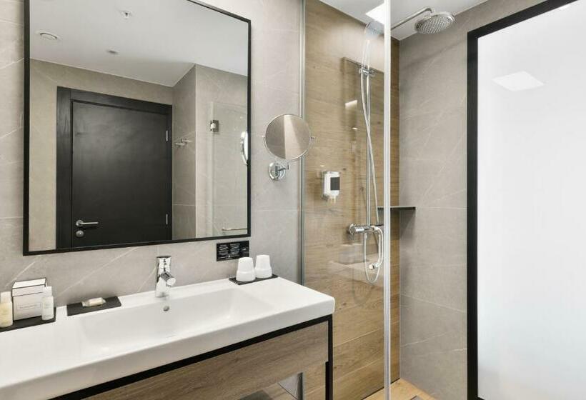 Fotos del hotel Riu Plaza London Victoria:  44