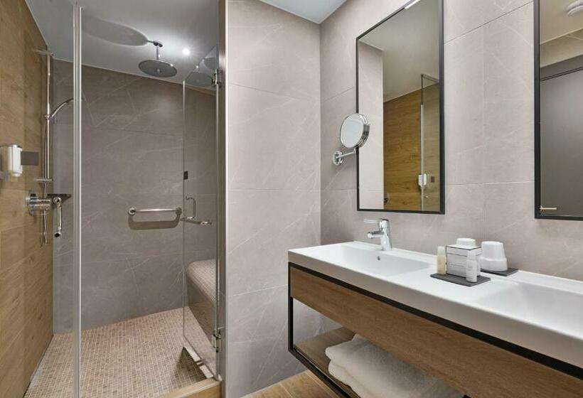 Fotos del hotel Riu Plaza London Victoria:  52