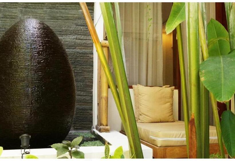 Fotos del hotel Arana Suite:  2