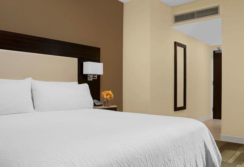Fotos del hotel Hilton Garden Inn Times Square Central:  10