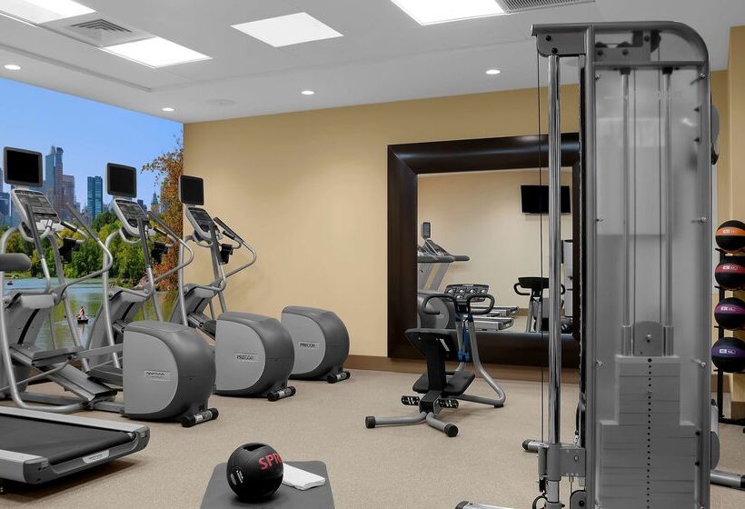 Fotos del hotel Hilton Garden Inn Times Square Central:  74