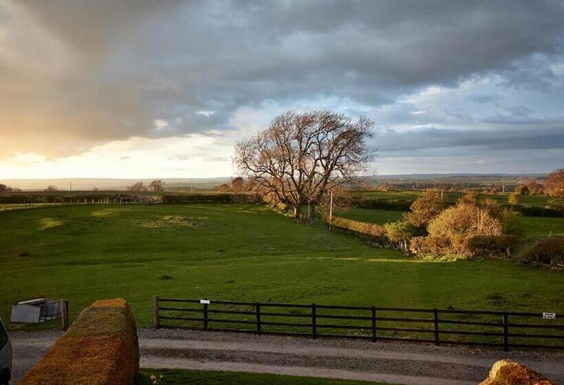هتل Lily Hill Farm