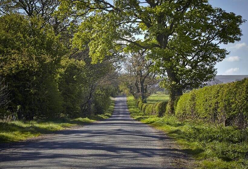هتل Lily Hill Farm