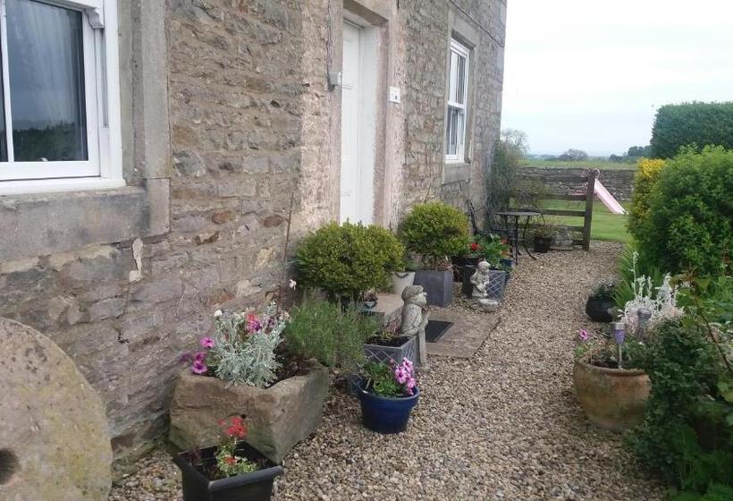 هتل Lily Hill Farm