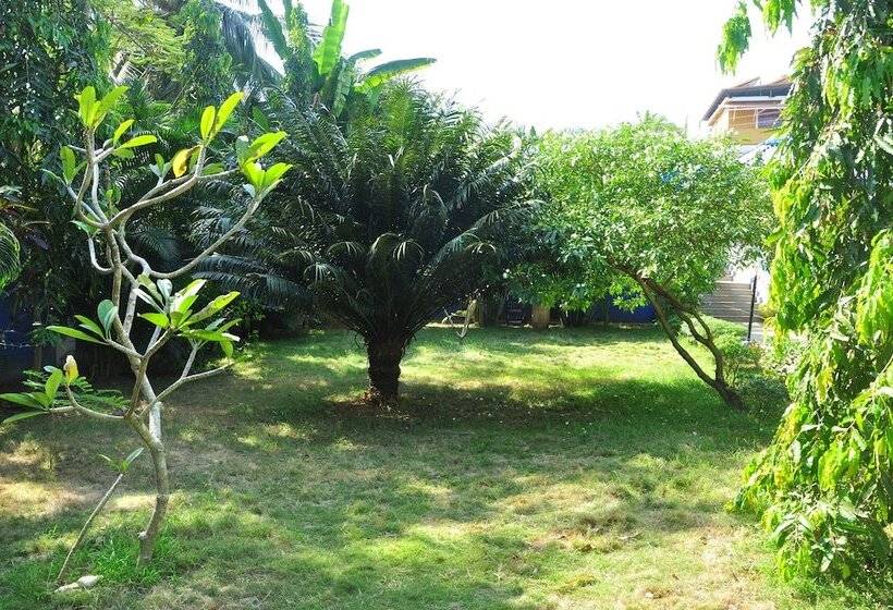 هتل Mayflower By Casa Eternal Beach Resort Baga