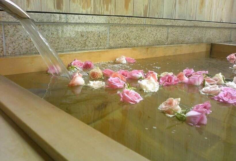 Fotos del hotel Ochanomizu  Shoryukan:  36