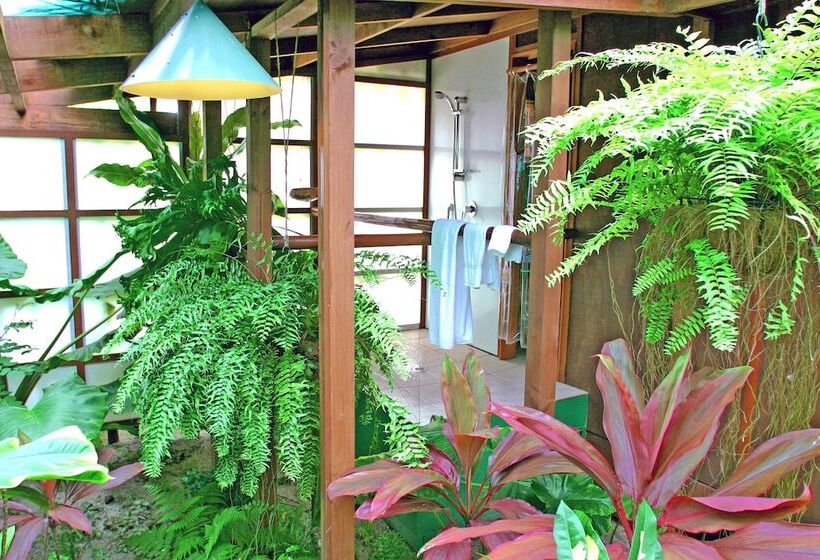 استراحتگاه Rarotonga Beach Bungalows