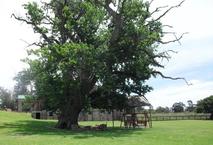 Отель Soloko Game Farm