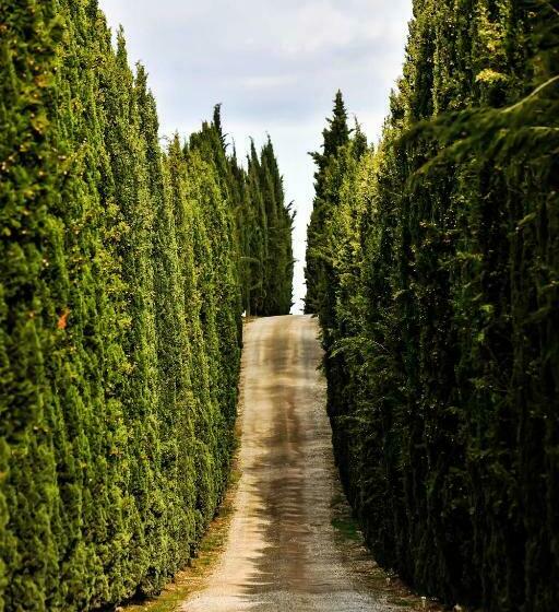 هتل Casalchino Fattoria La Torre