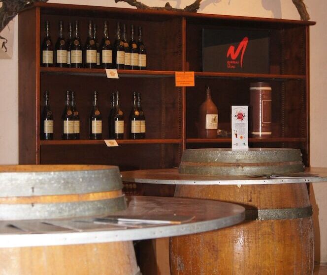 호텔 Château De Mons Armagnac