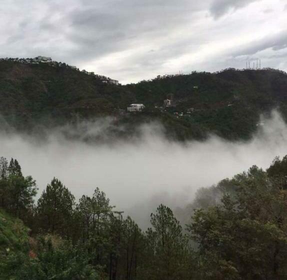 فندق Misty Meadows Resorts