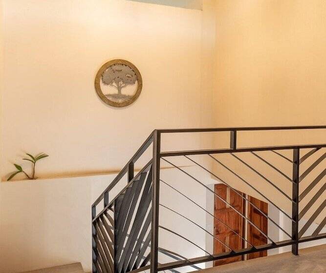 هتل Palm Beach Inn