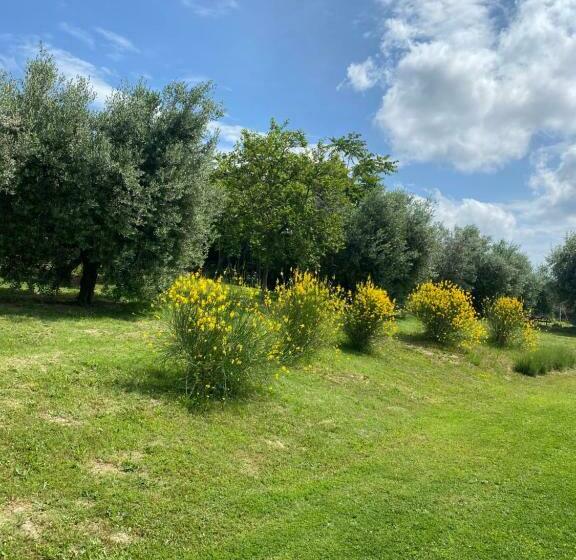 Olea B&b