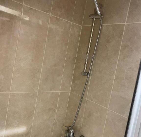 Fotos del hotel Luna Suites Taksim:  27