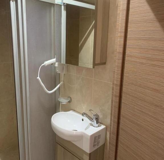 Fotos del hotel Luna Suites Taksim:  26