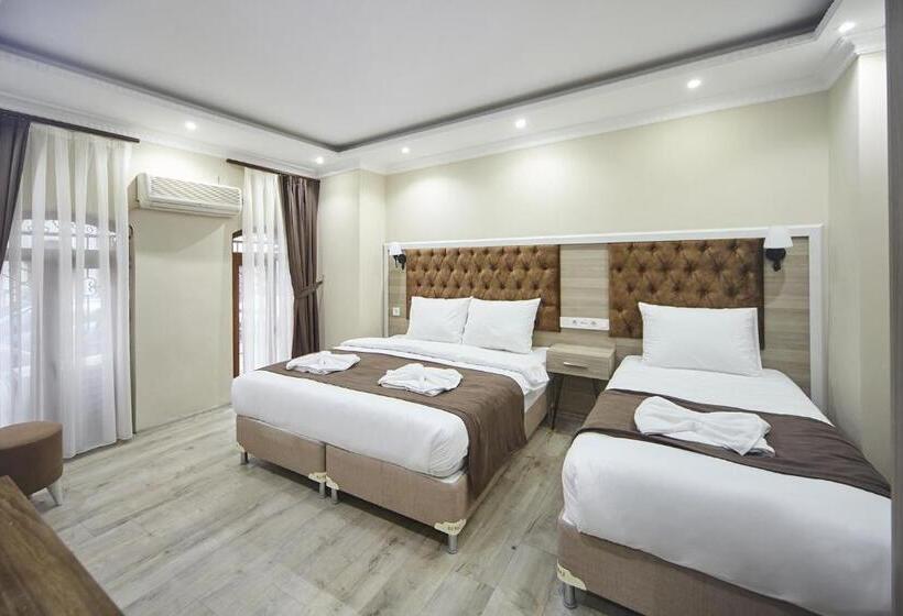 Fotos del hotel Luna Suites Taksim:  4