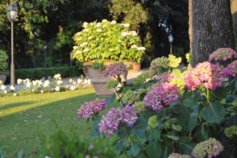 تختخواب و صبحانه Villa Il Sasso  Dimora D Epoca