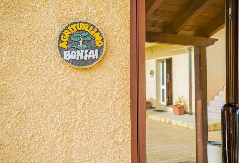 Bonsai B&b Alghero