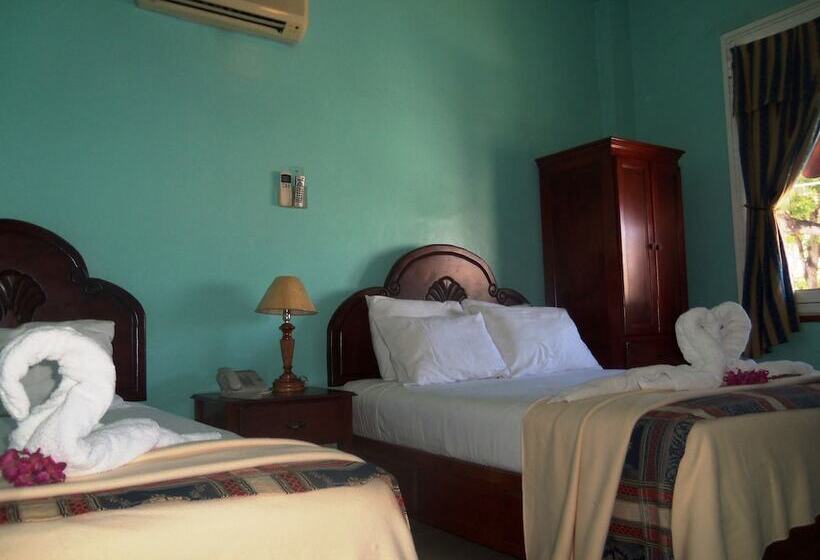 Fotos del hotel Discovery:  21
