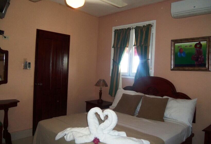 Fotos del hotel Discovery:  20