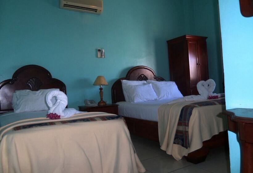 Fotos del hotel Discovery:  19