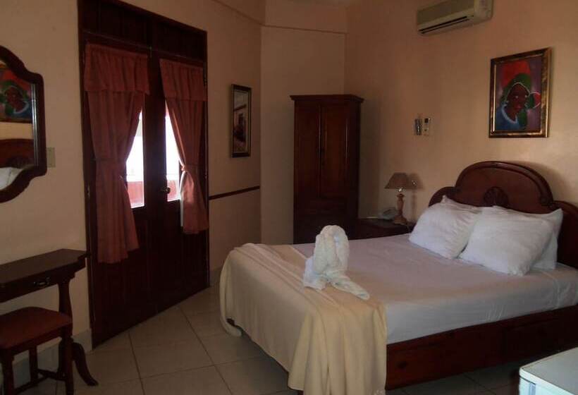 Fotos del hotel Discovery:  4