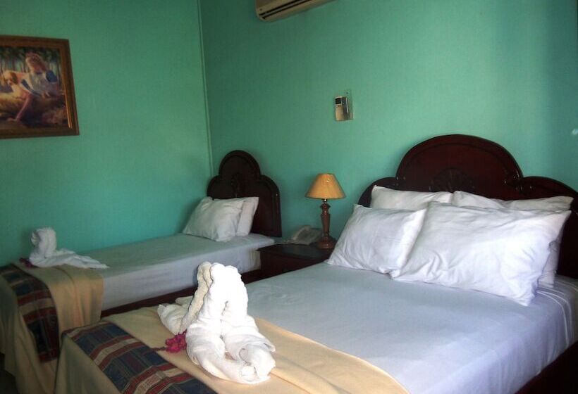 Fotos del hotel Discovery:  8