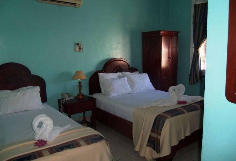 Fotos del hotel Discovery:  17