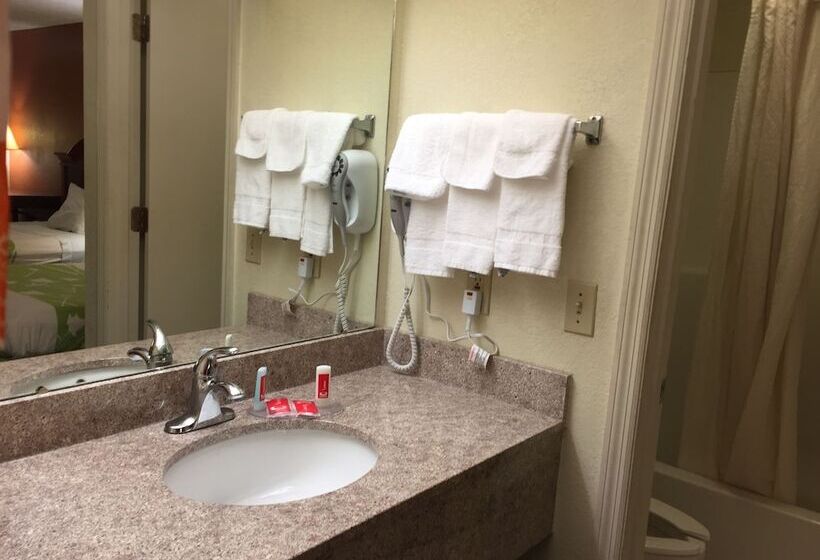 هتل Econo Lodge