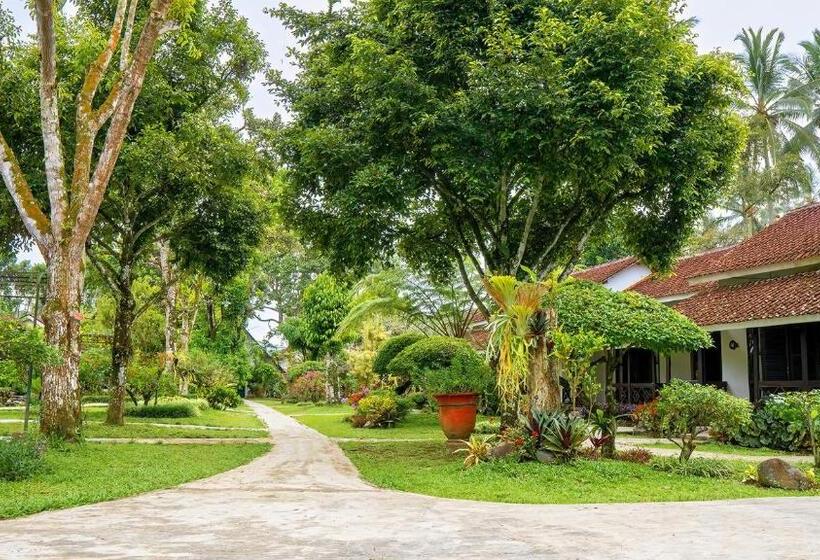 هتل Margo Utomo Eco Resort