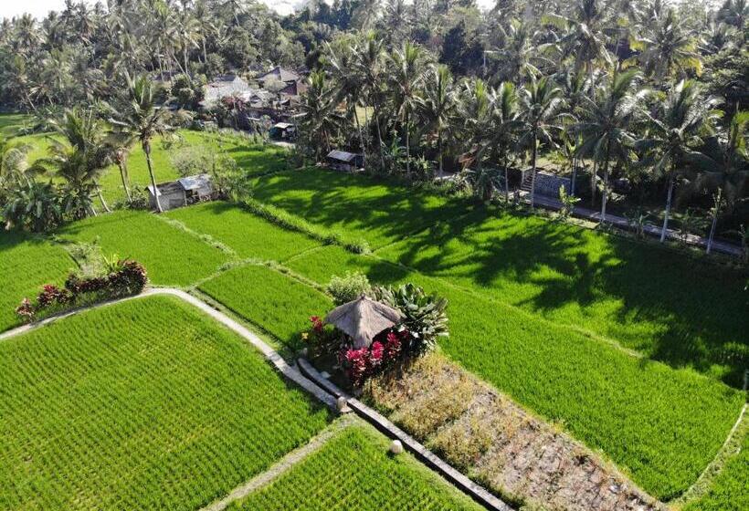 Fotos del hotel Mathis Retreat:  26