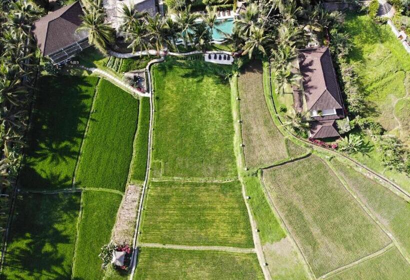 Fotos del hotel Mathis Retreat:  29