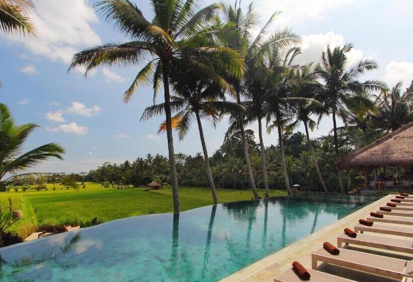 Fotos del hotel Mathis Retreat:  30