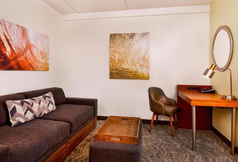 هتل Springhill Suites Chesapeake Greenbrier