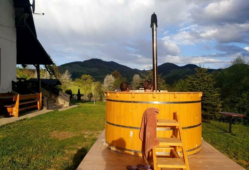 بنسيون Bucovina Montană