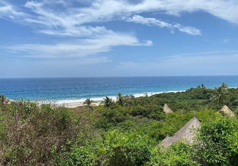 هتل Ecohabs Tequendama Parque Tayrona