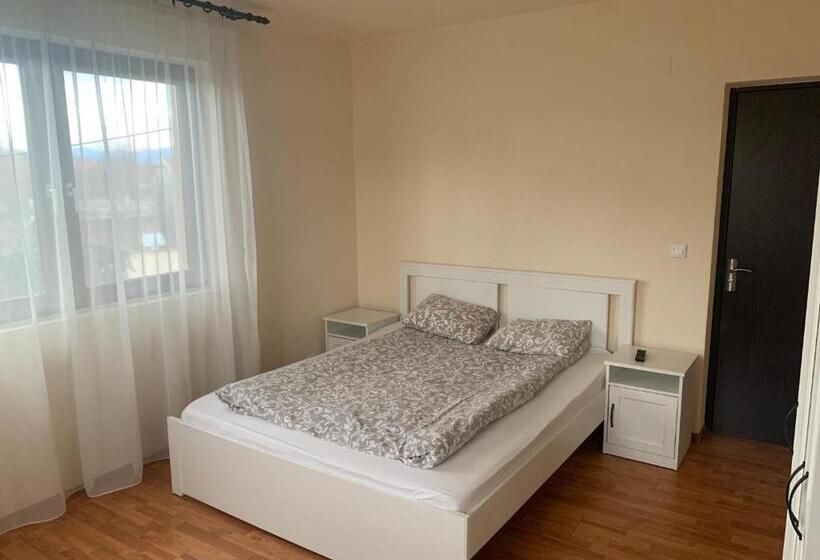 Пансион City Rooms Beiuș